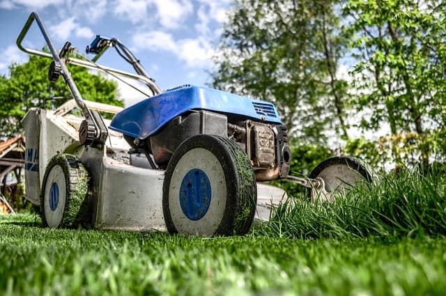 Jak naprawić stary trawnik?