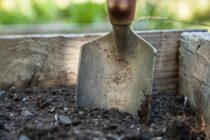 Etapy zakładania ogrodu – krok po kroku